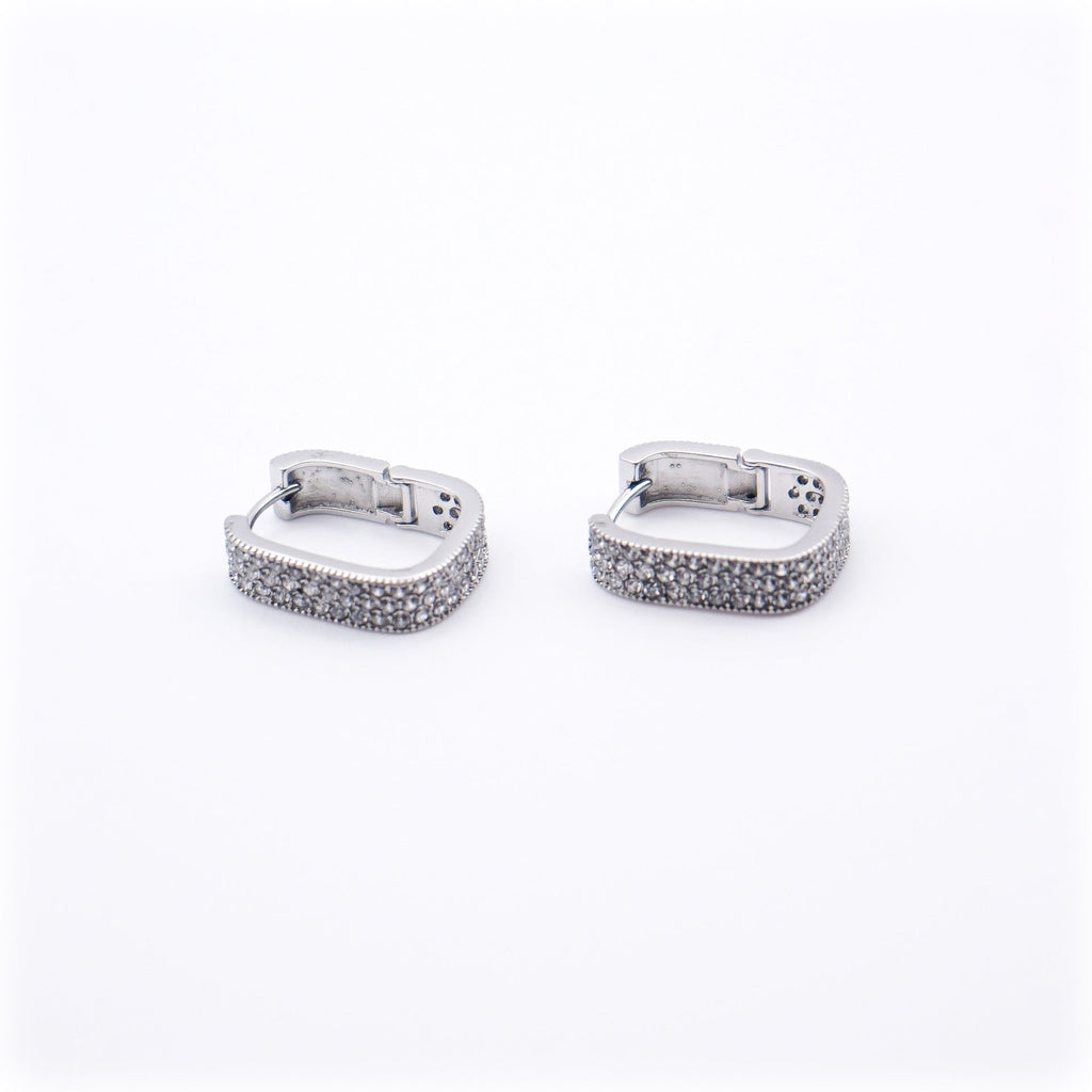Orecchini Luxury - argento